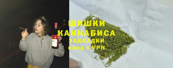 винт Бородино