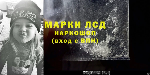 apvp Володарск